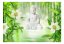 Samolepiaca fototapeta - Budha a príroda