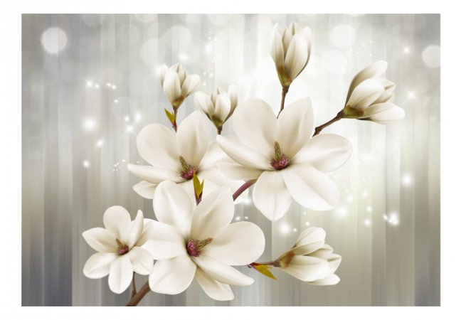 Fototapeta - Bílé květy