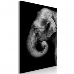 Obraz - Portrét slona