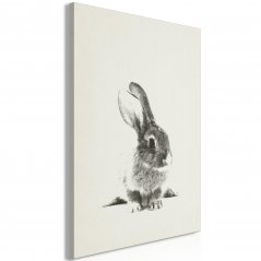 Obraz - Chlpatý zajačik
