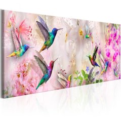 Obraz - Barevní kolibříci