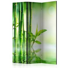 Paraván - Zelený bambus