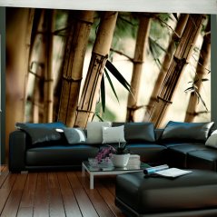 Fototapeta - Hmla a bambusový les
