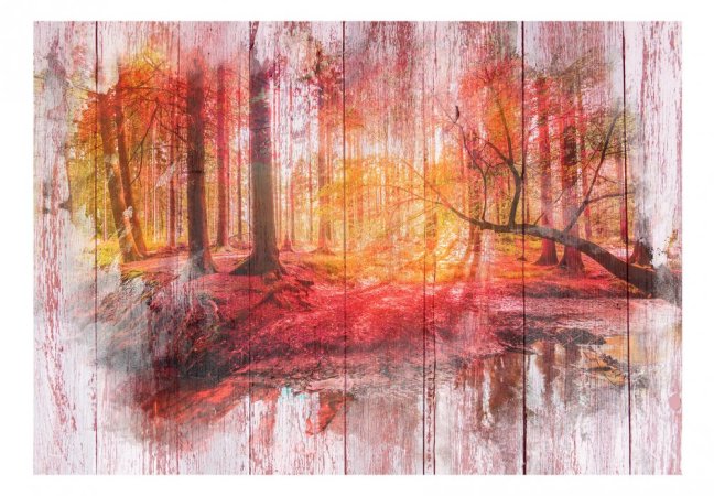 Samolepící fototapeta - Podzimní les