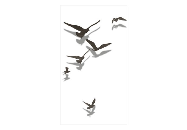Fototapeta - Volní ptáci