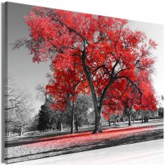 Obraz - Podzim v parku - červený