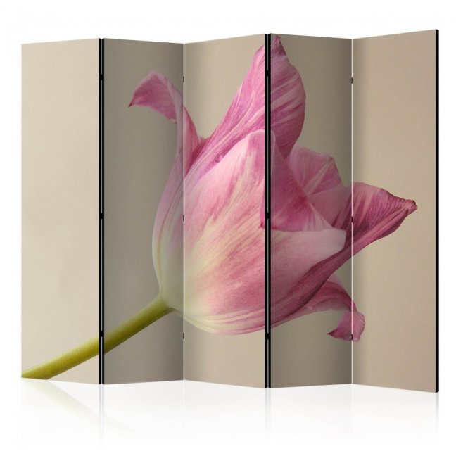 Paraván - Růžový tulipán II