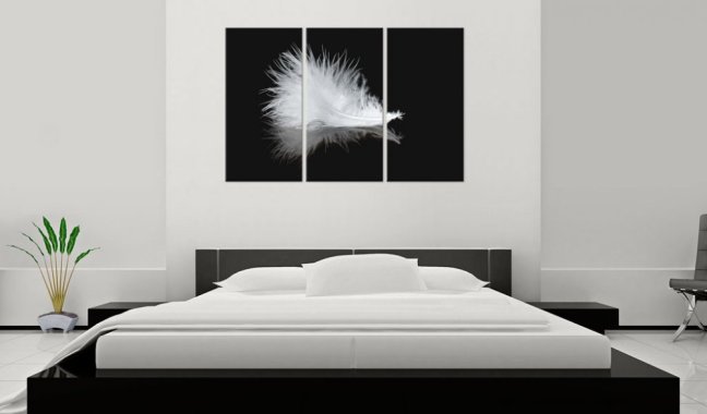 Obraz - Abstraktní černobílé peříčko