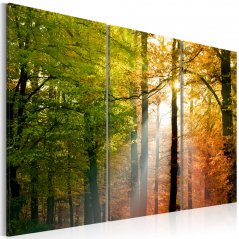 Obraz - Podzimní les II