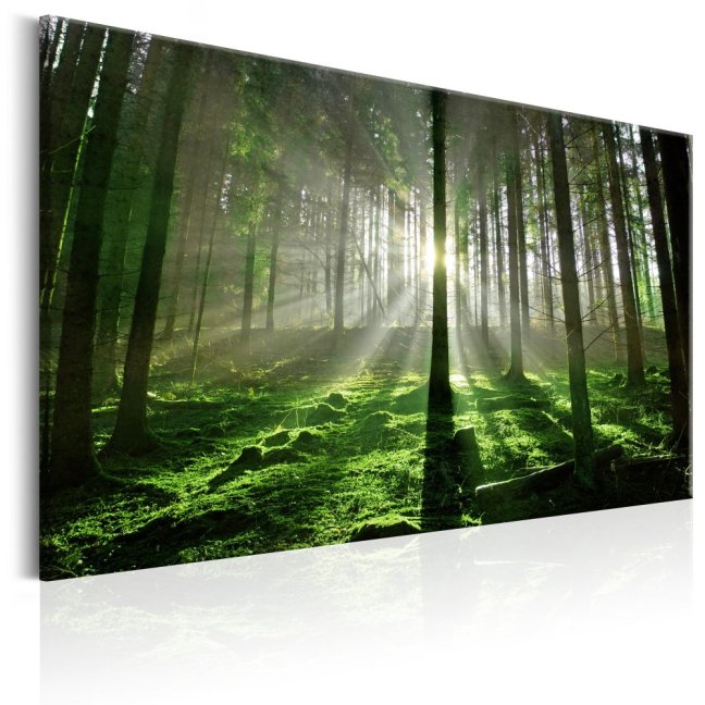 Obraz - Smaragdový les II