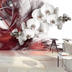 Fototapeta - Orchidej v červené barvě
