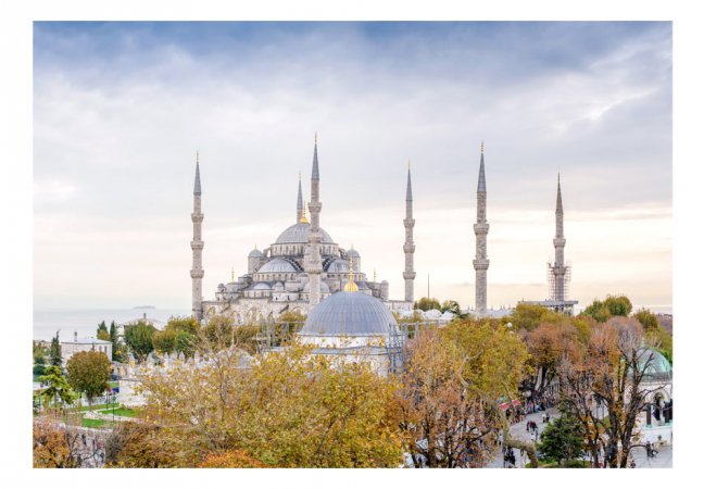 Fototapeta - Hagia Sofia - Istanbul