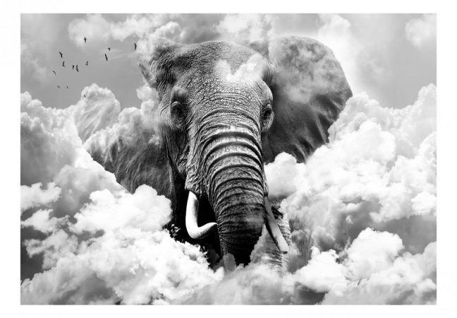Fototapeta - Slon v oblacích (černobílý)