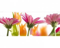 Panoramatická fototapeta - Jarné kvety