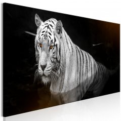 Obraz - Zářivý tygr III