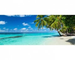 Panoramatická fototapeta - Tropický raj