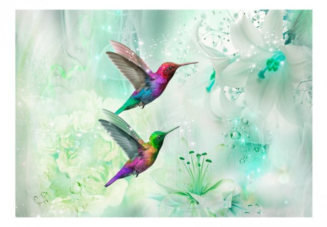 Fototapeta - Barevní kolibříci (zelení)