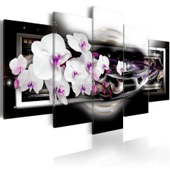 Obraz - Orchideje na černém pozadí