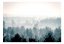 Samolepící fototapeta - Zimní les