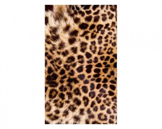 Fototapeta - Leopardia koža