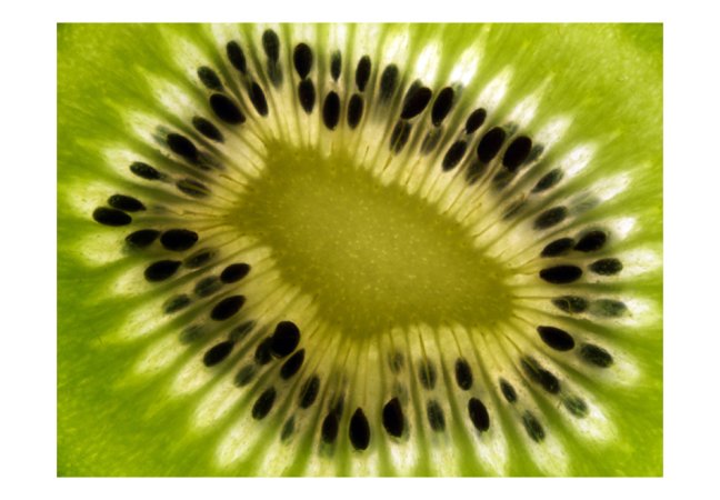 Fototapeta - Ovoce: kiwi