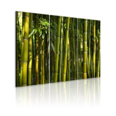 Obraz - Tropické lístie bambusu