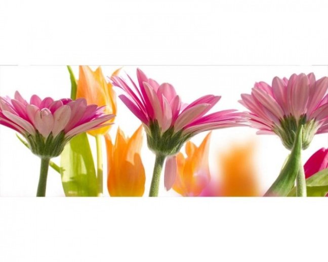 Panoramatická fototapeta - Jarní květiny