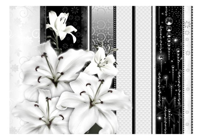 Fototapeta - Plačící lilie v bílém