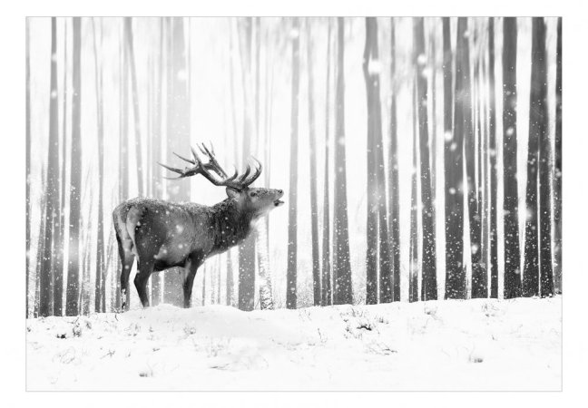 Fototapeta - Jelen na sněhu (černobílá)