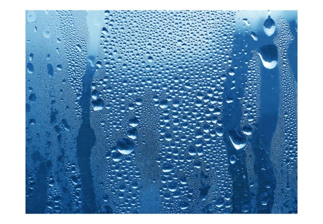 Fototapeta - Vodní kapky na modrém skle