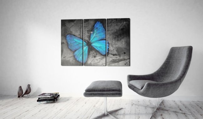 Obraz - Štúdia o motýľovi II