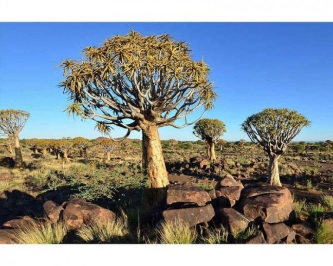 Fototapeta - Namibie - Šířka x Výška: 375x250