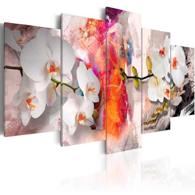Obraz - Farebné pozadie a orchidey