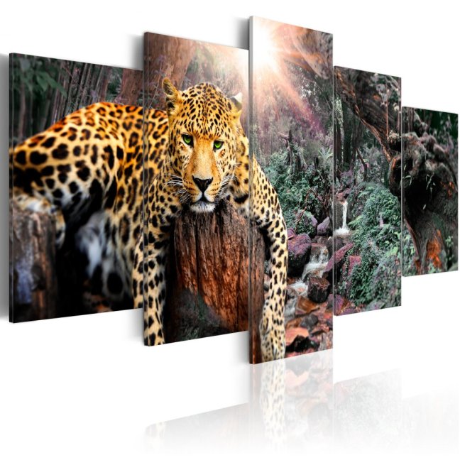 Obraz - Leopardia relaxácia