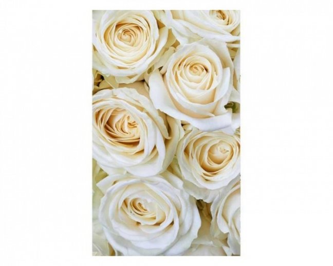Fototapeta - Bílé růže