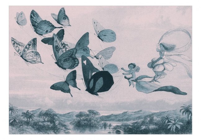Samolepiaca fototapeta - Motýle a víly
