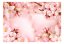 Samolepiaca fototapeta - Čarovný čerešňový kvet