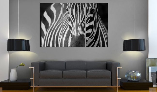 Obraz - Paní Zebra