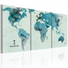 Obraz - Ornitologická mapa světa