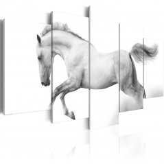 Obraz - Kôň - sloboda a sila