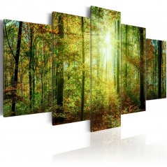 Obraz - Divoký les