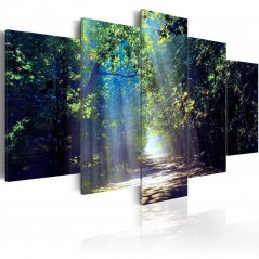 Obraz - Slunečná lesní cesta