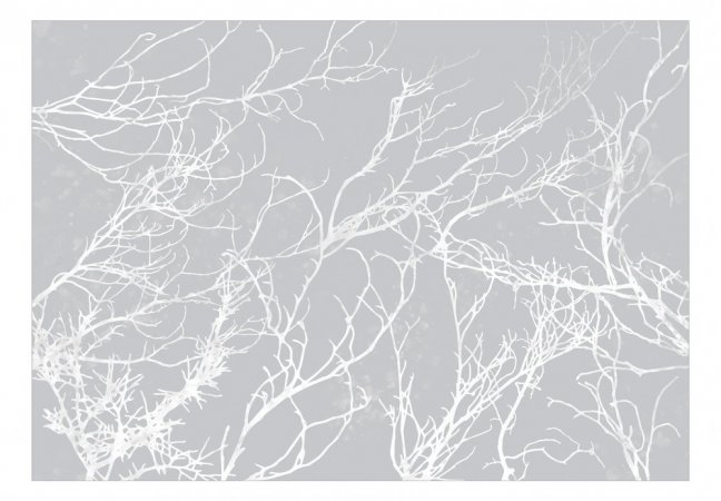 Fototapeta - Bílé stromy
