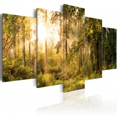 Obraz - Kouzlo lesa