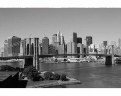 Fototapeta - Manhattan v sivej farbe