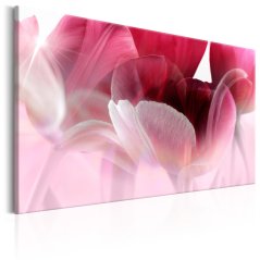 Obraz - Príroda: ružové tulipány