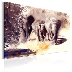 Obraz - Akvarel sloni