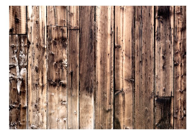 Fototapeta - Poezie ze dřeva