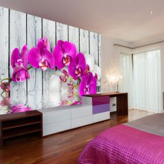 Fototapeta - Fialové orchidey s reflexiou vody