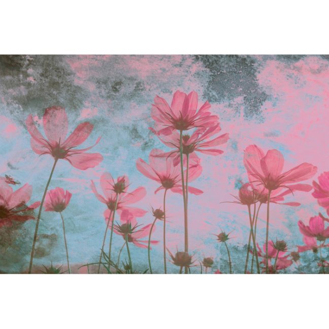 Fototapeta - Abstraktní květiny II.